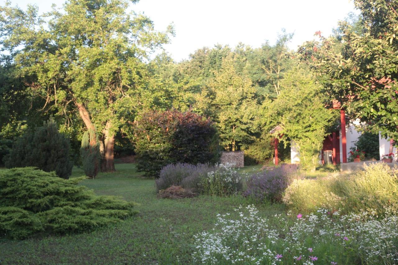 Nagymajor Birding Lodge Tiszacsege Exterior photo